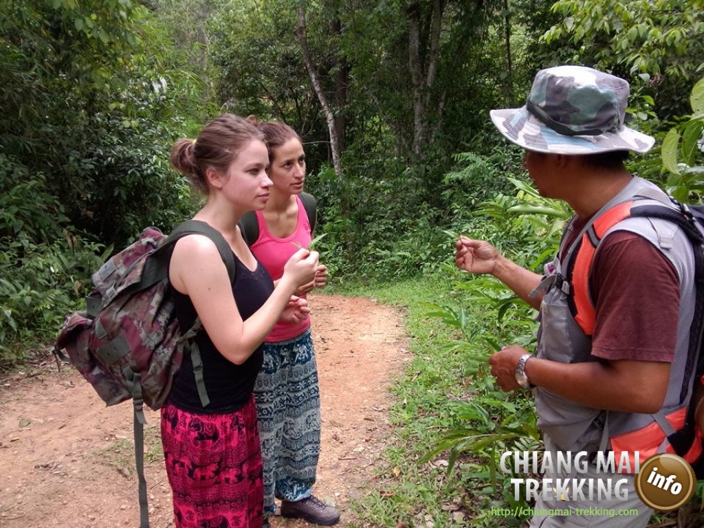 Natalie & friend | Chiang Mai Trekking | Le meilleur trekking &agrave; Chiang Mai avec Piroon Nantaya